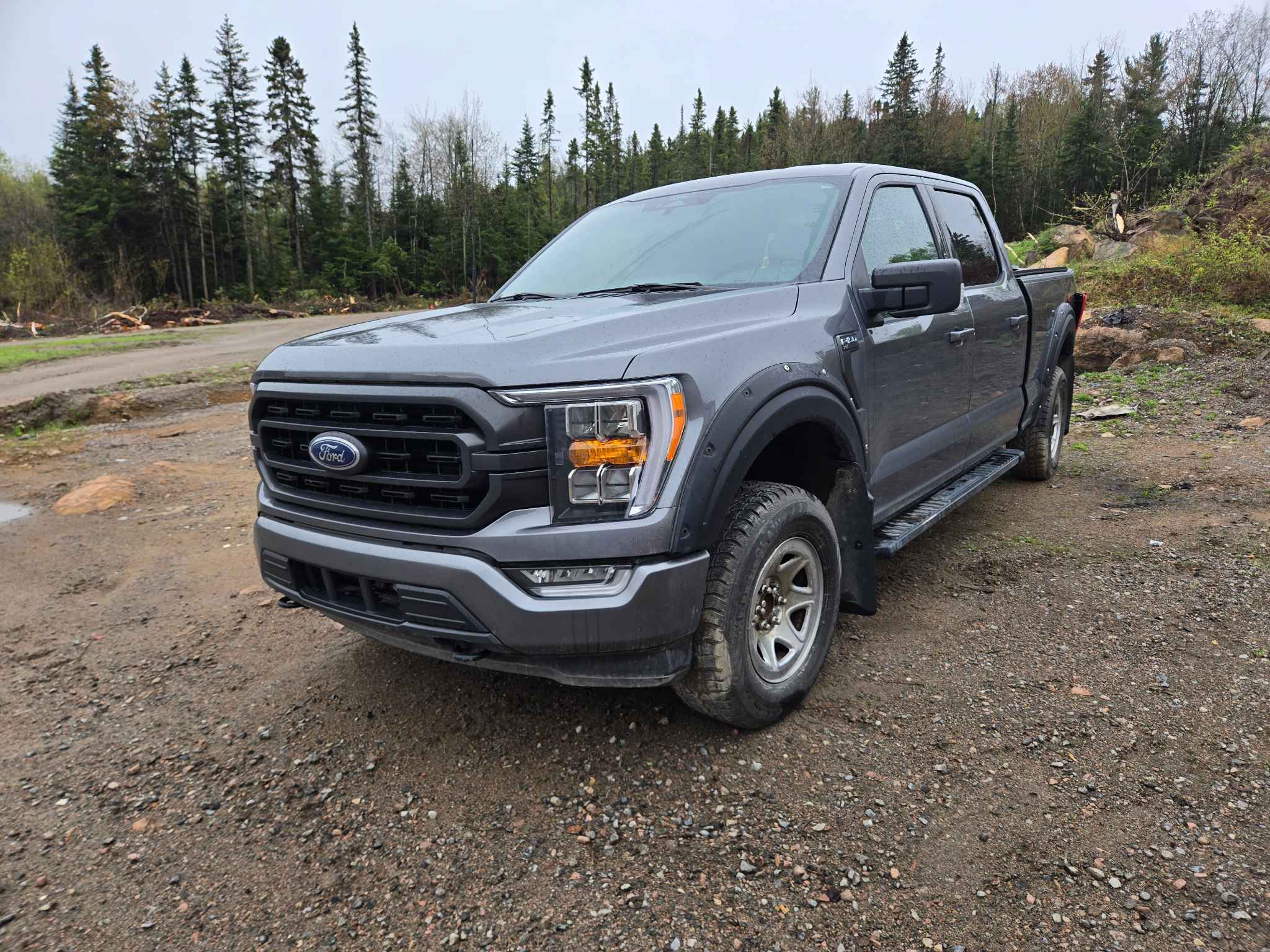 2022 Ford Pickup (Ford)