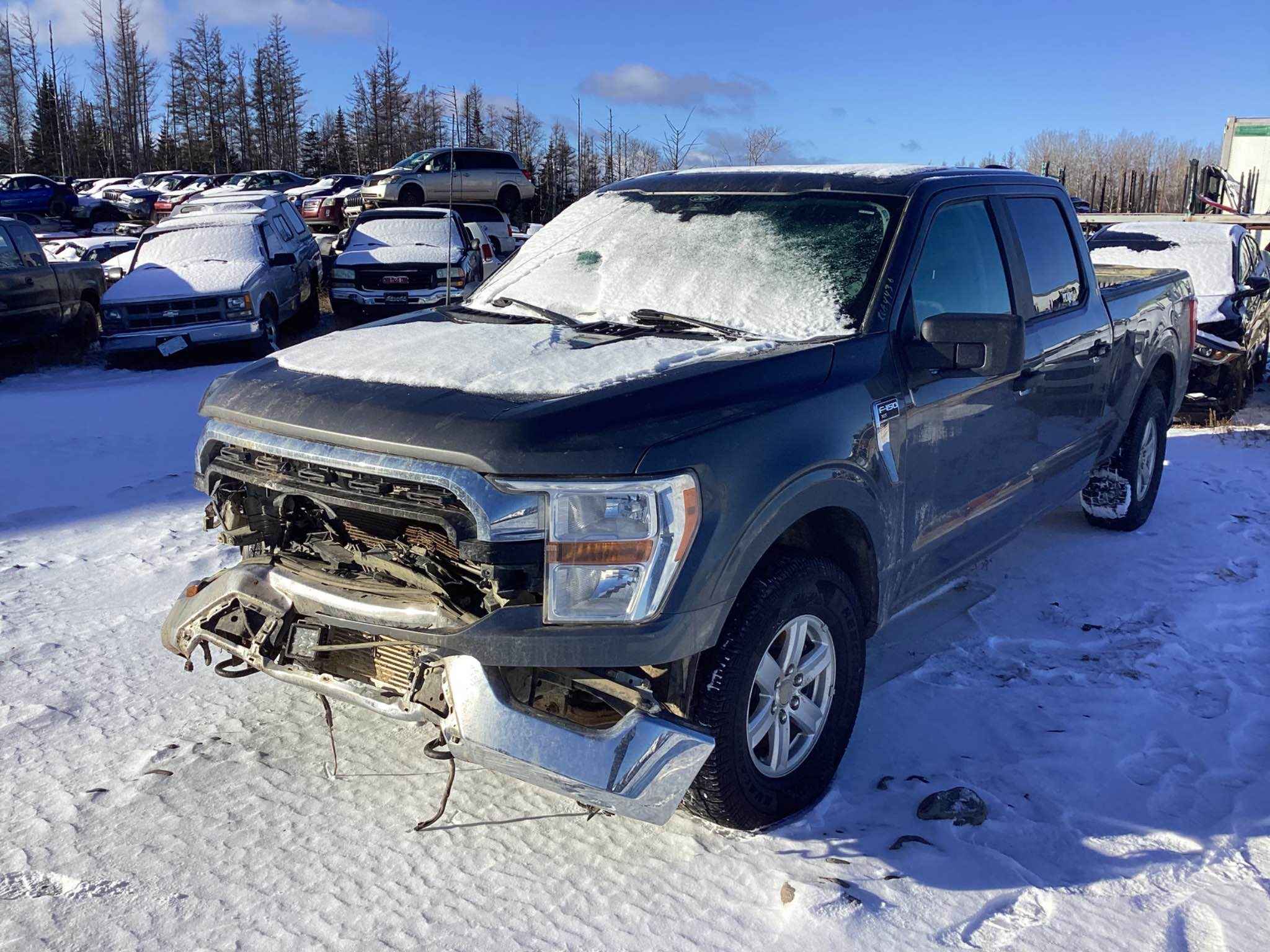 2022 Ford Pickup (Ford)