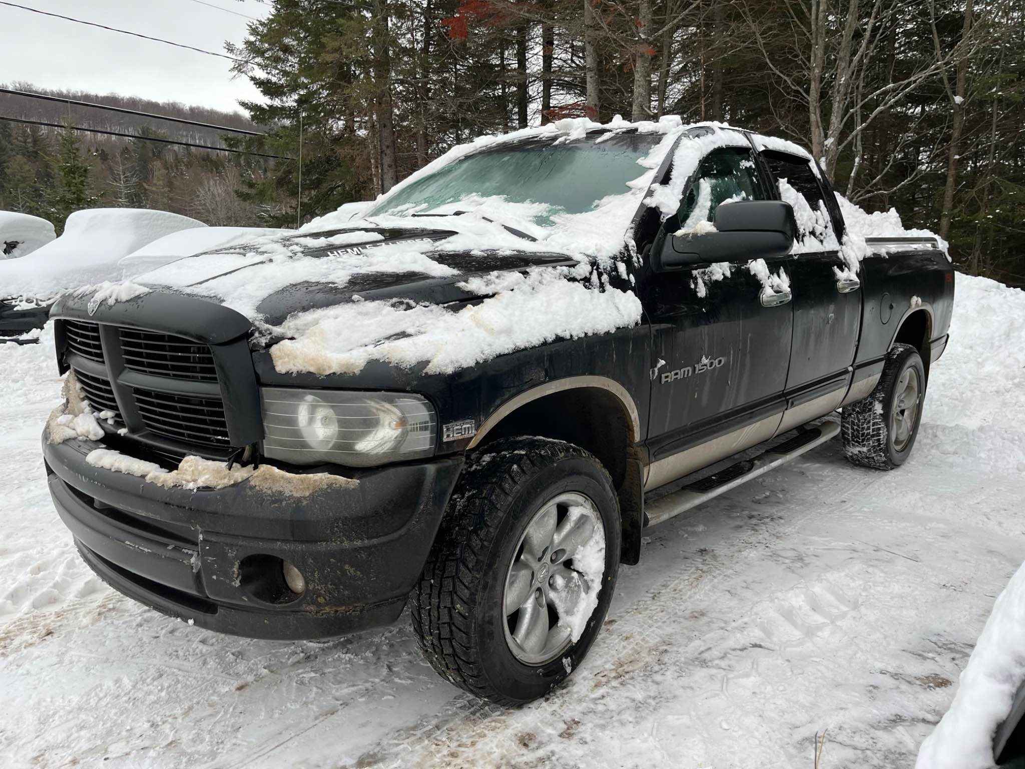 2004 Chrysler Pickup (Dodge)