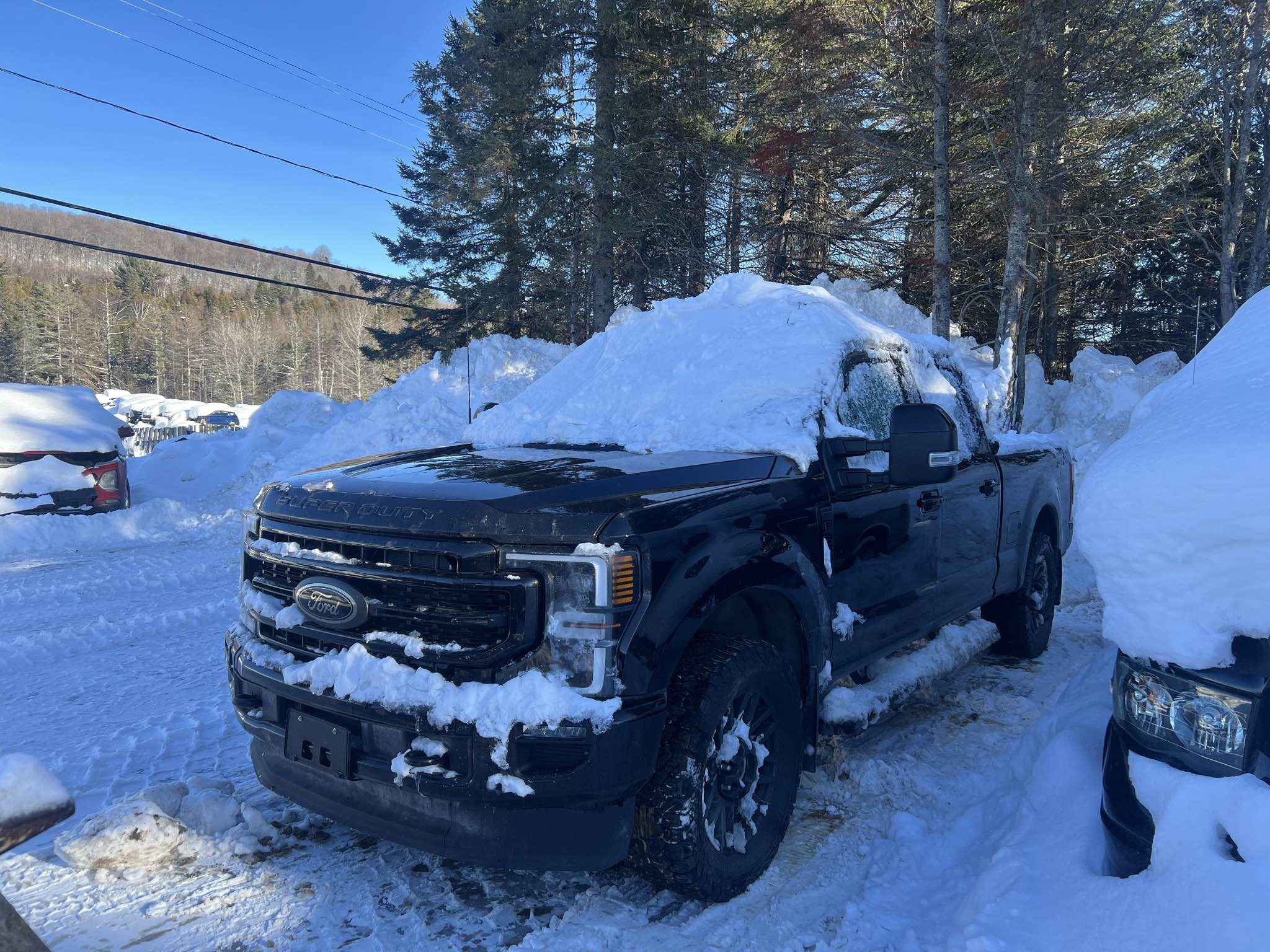 2022 Ford Pickup (Ford)