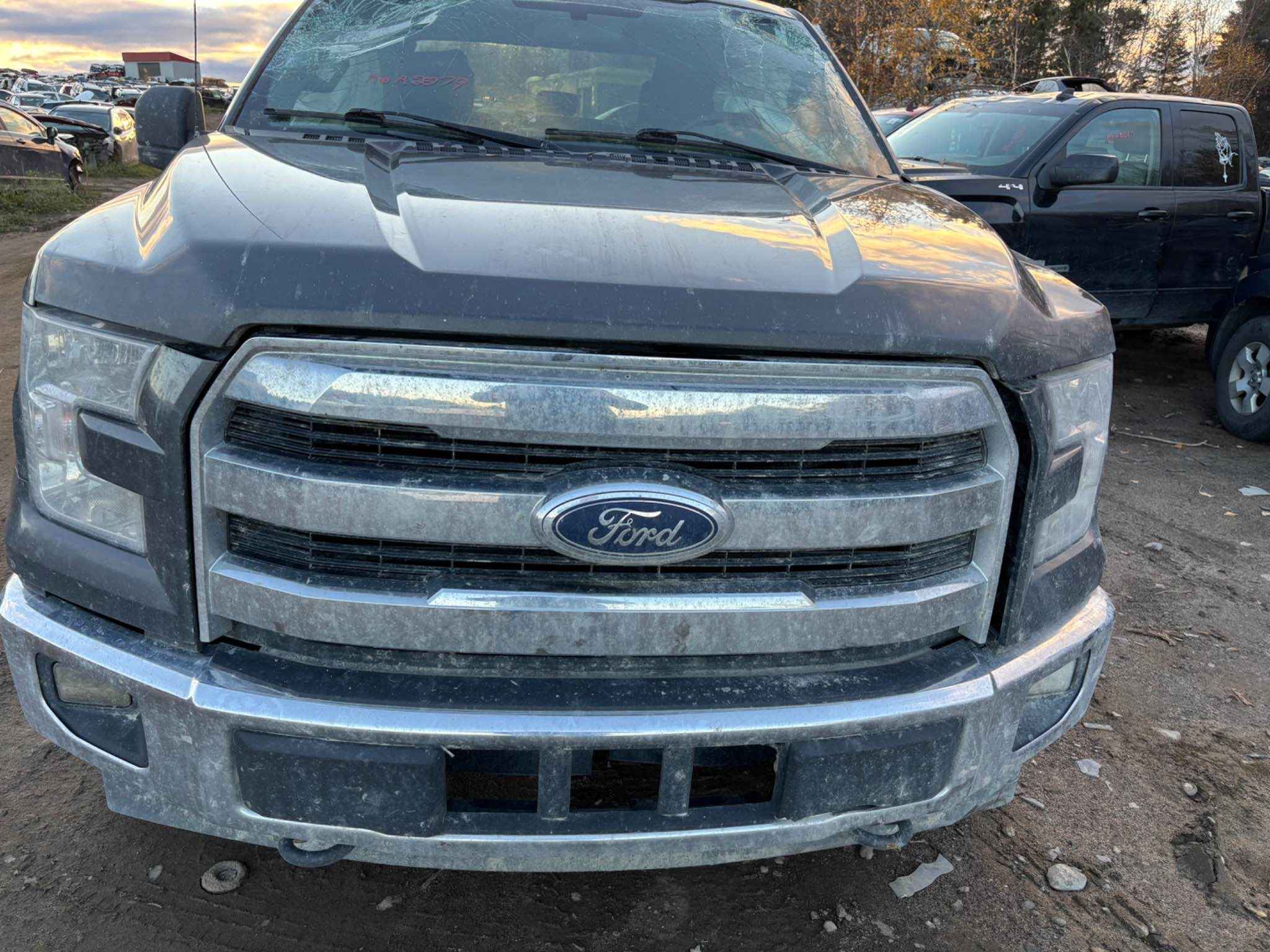 2017 Ford Pickup (Ford)