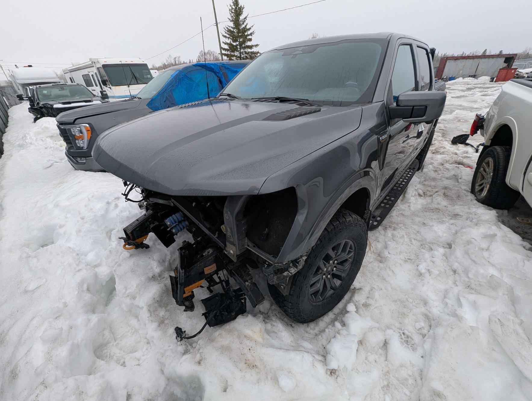 2023 Ford Pickup (Ford)
