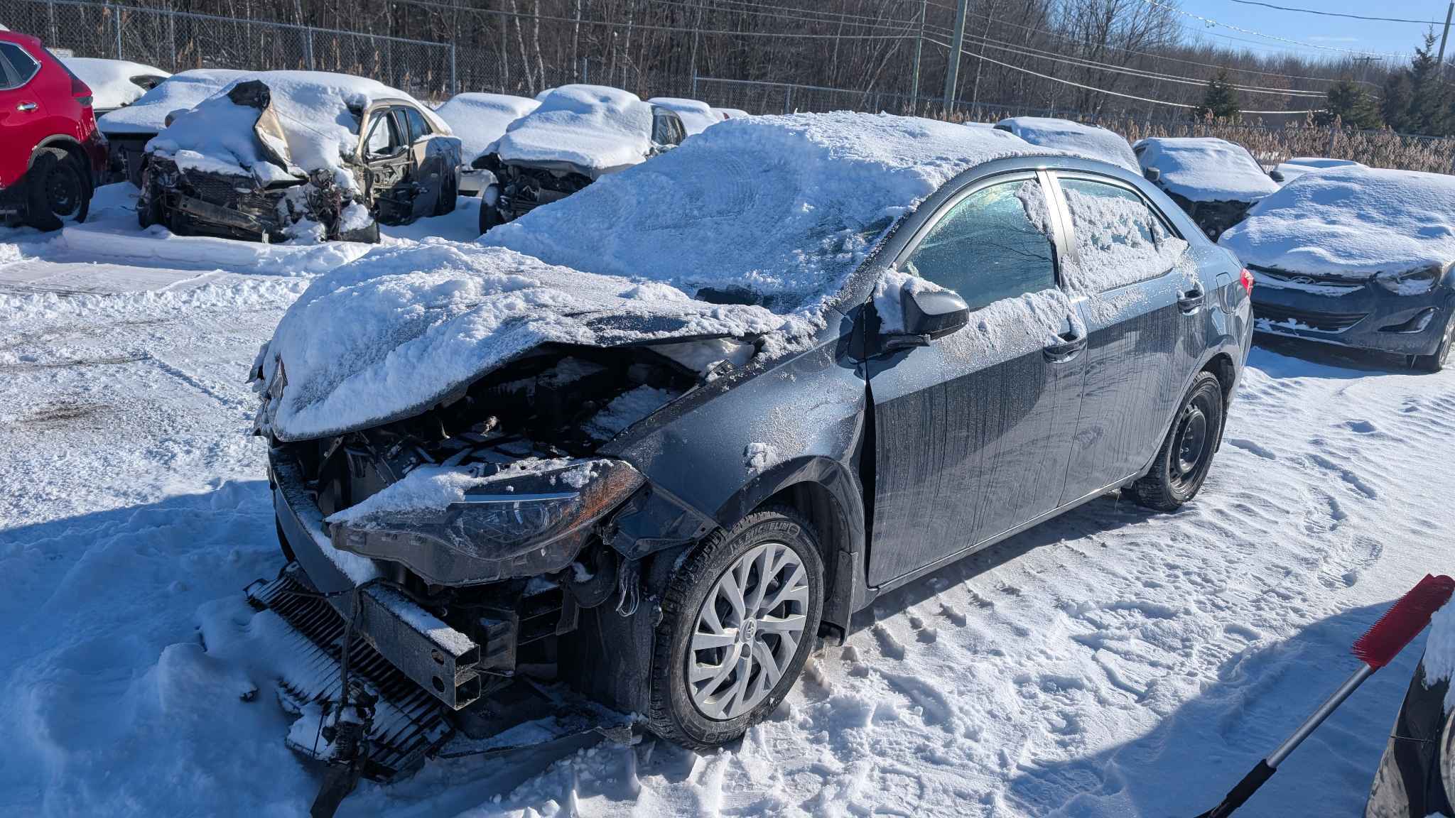 2019 Toyota Corolla