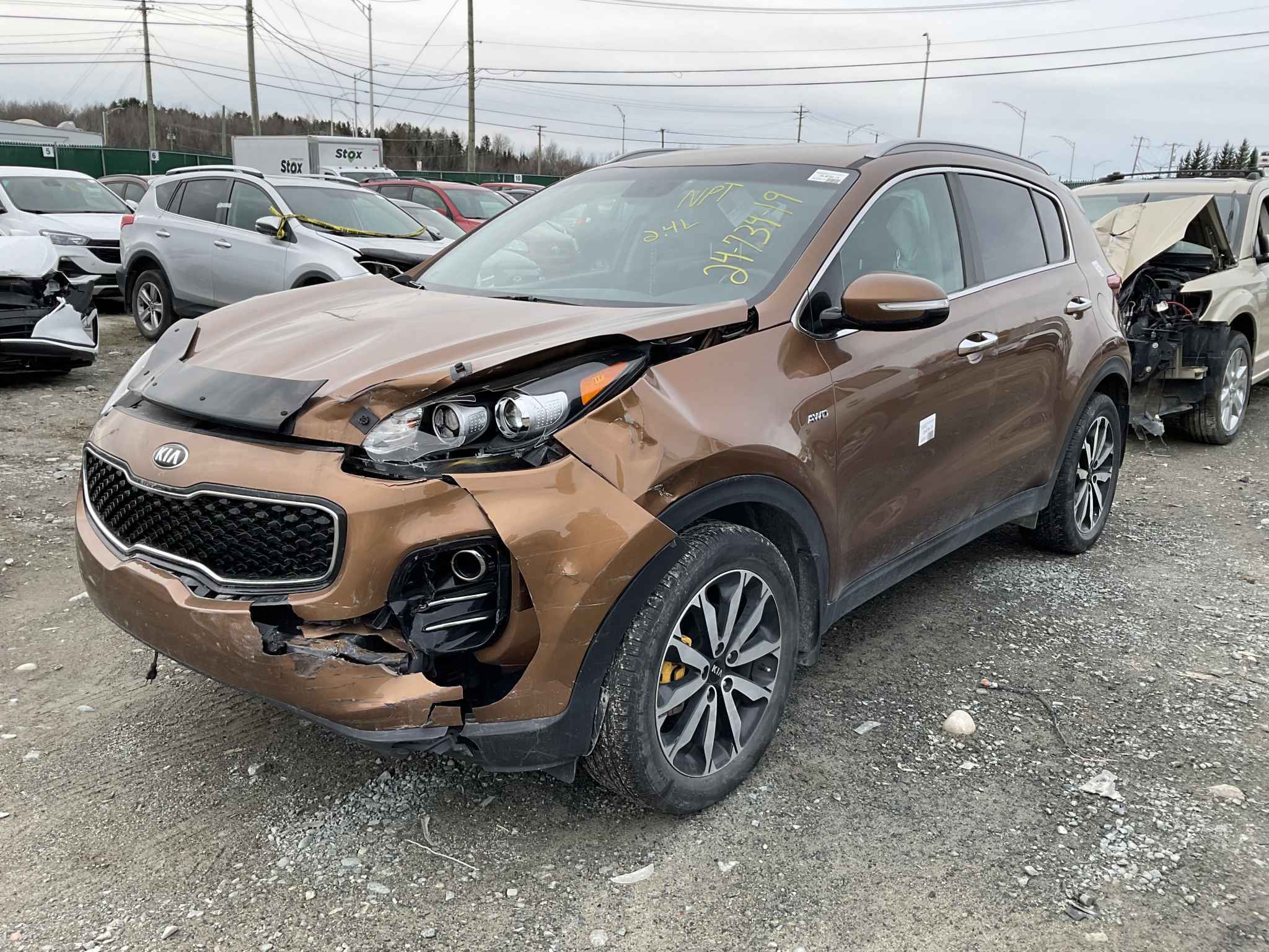 2019 Kia Sportage