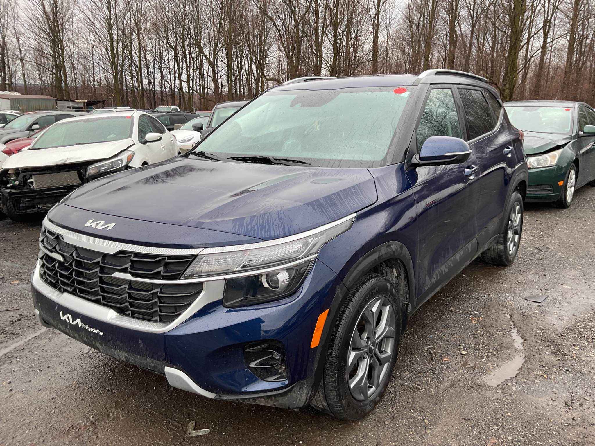 2024 Kia Seltos