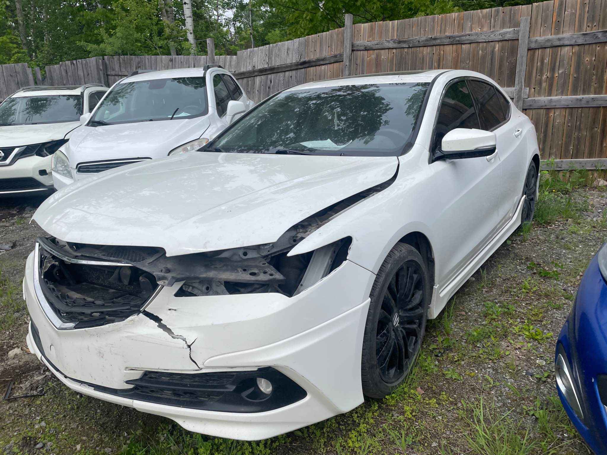 2015 Acura Tlx