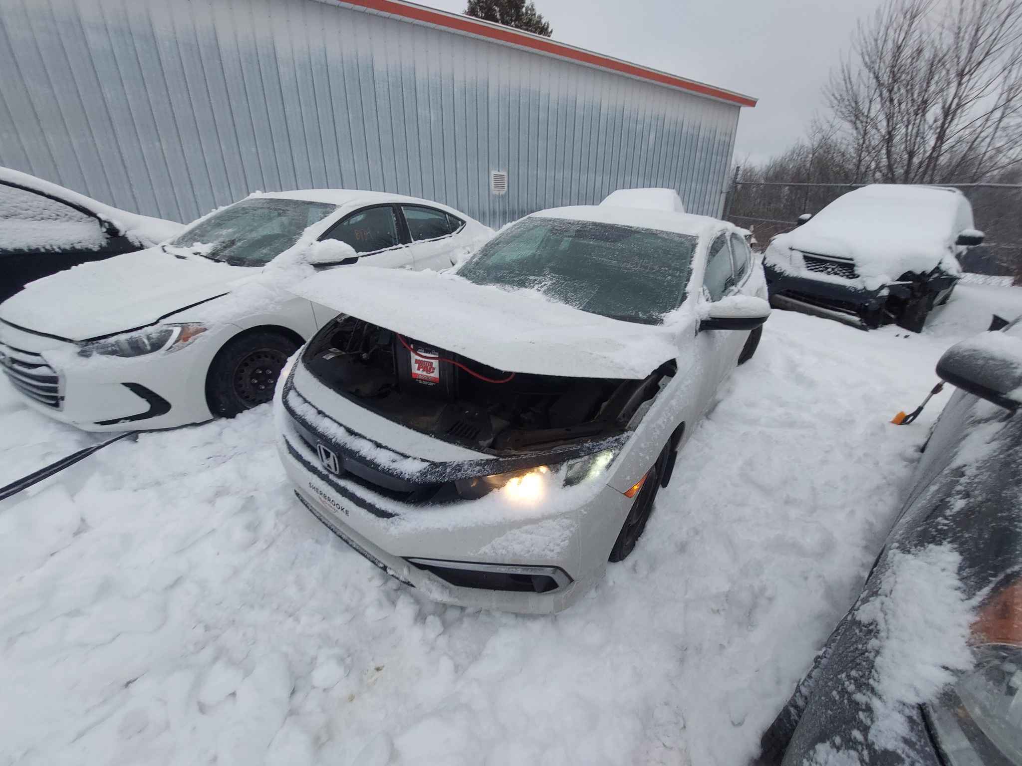 2019 Honda Civic