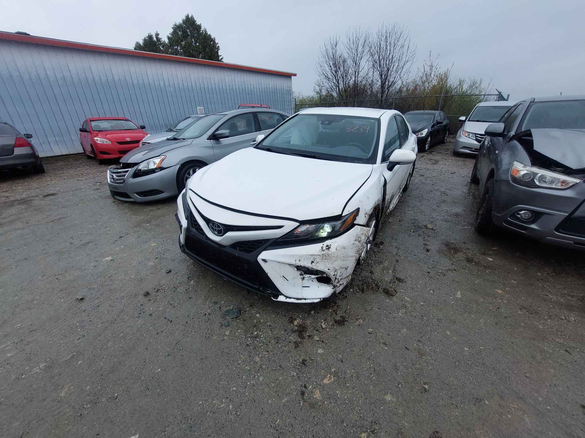 2023 Toyota Camry