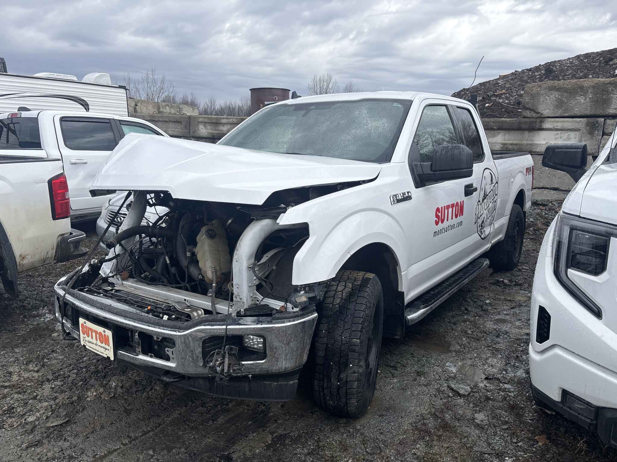 2020 Ford Pickup (Ford)