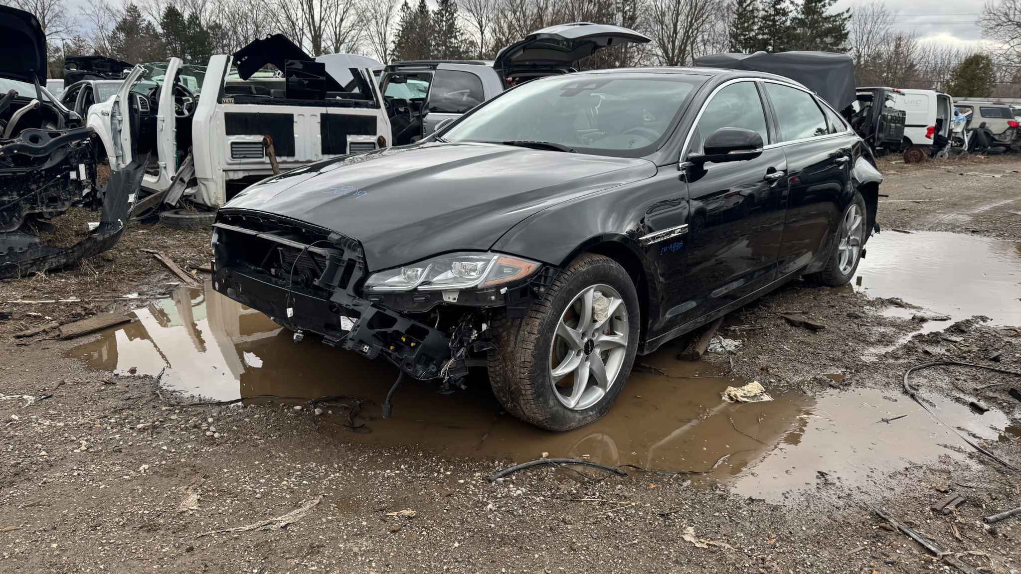 2019 Jaguar Xj