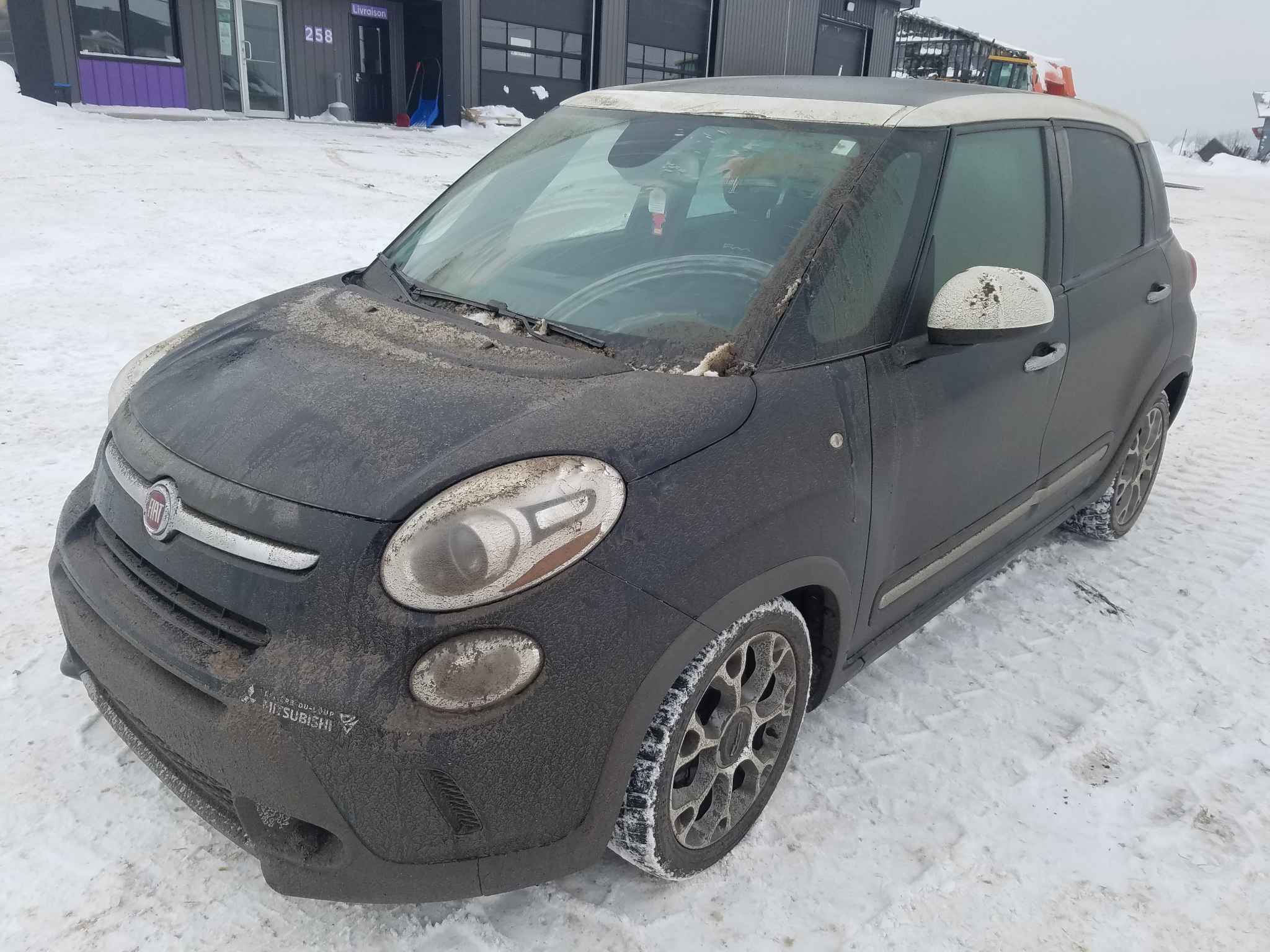 2014 Fiat 500 (Fiat)