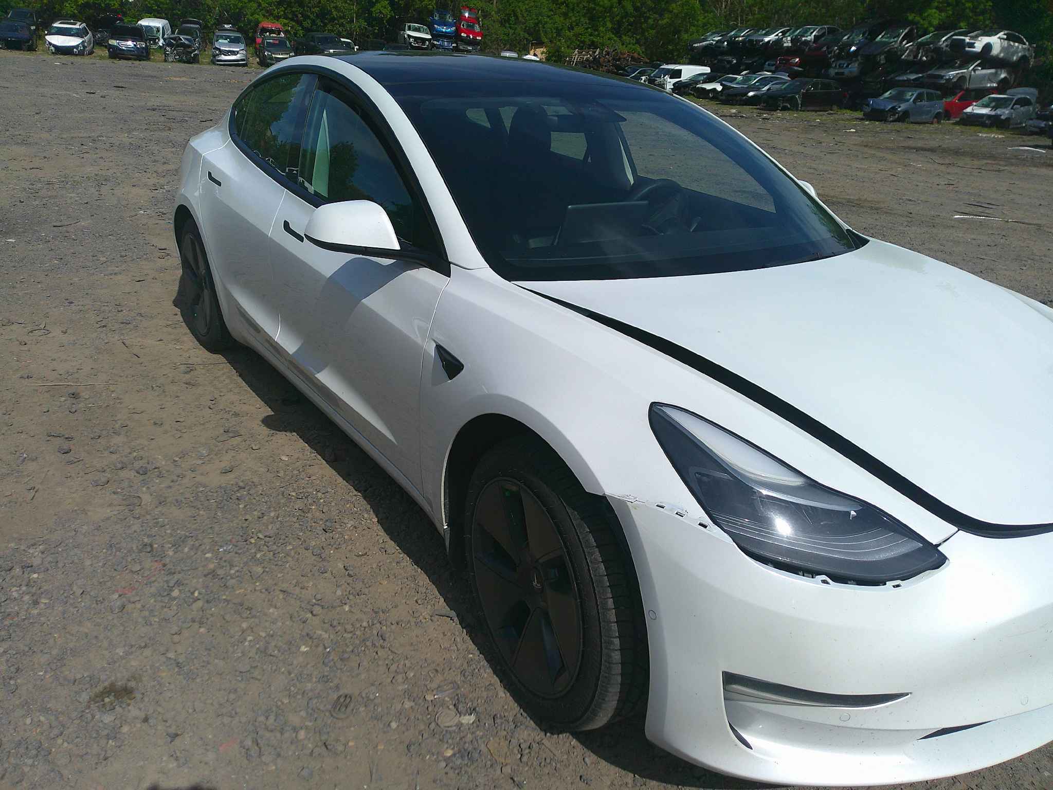 2021 Tesla Tesla 3