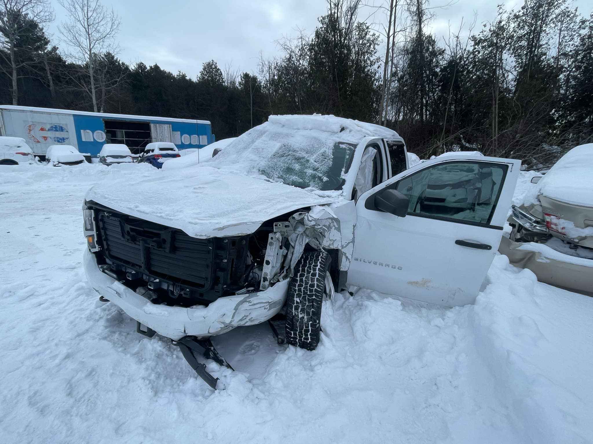 2018 GM Pickup (Chev.)